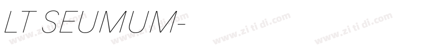 LT SEUMUM字体转换